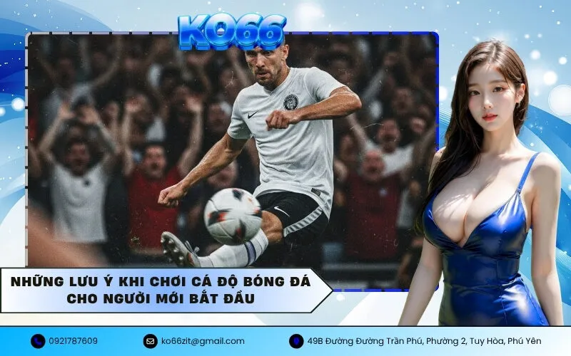 Cá Độ Bóng Đá