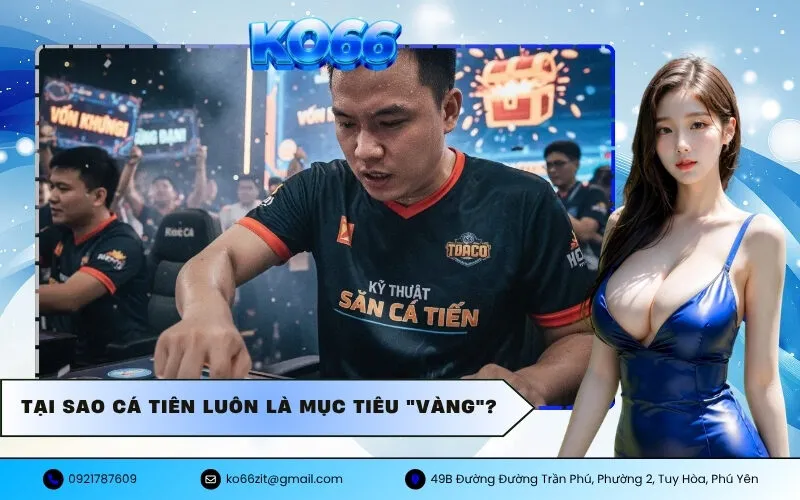 Tại sao Cá Tiên luôn là mục tiêu vàng